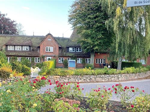 Ferieleilighet - 4 personer -  - Bi de Süd - 25938 - Nieblum