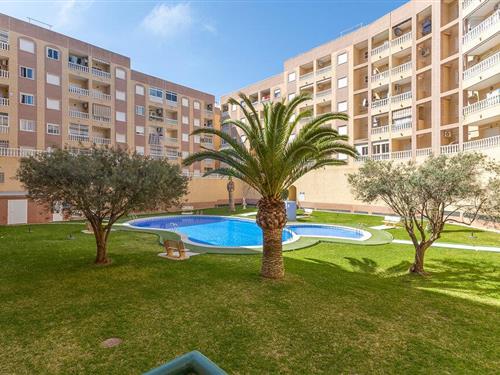 Ferieleilighet - 4 personer -  - San Julián - 03181 - Torrevieja