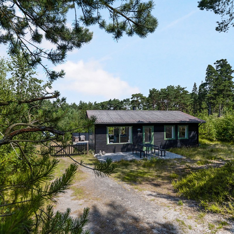 Ferienhaus - 6 Personen -  - I Klitterne - Dueodde - 3730