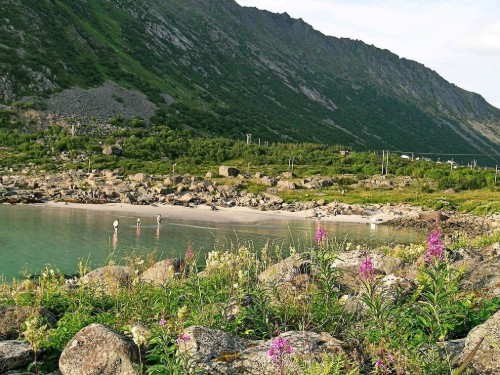  - 6 personer -  - Falkveien - Vågan - 8300 - Nordland - Lofoten