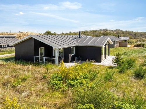 Sommerhus - 6 personer -  - Liusborg Sti - Klitmøller - 7700 - Thisted
