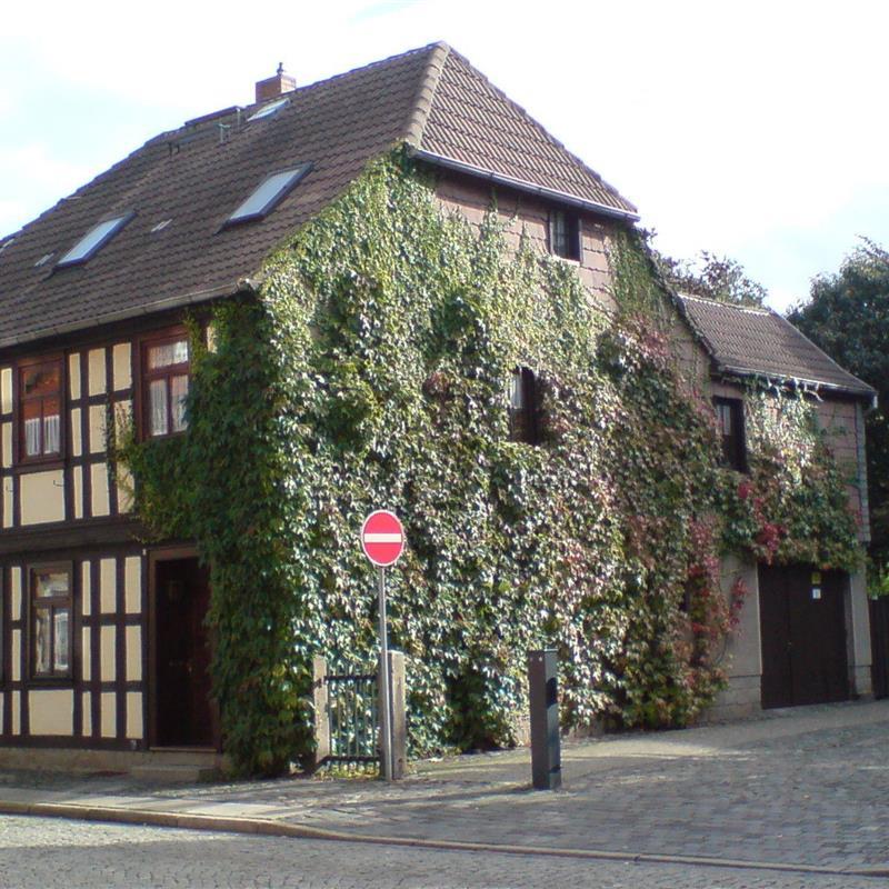 Ferielejlighed - 3 personer -  - Wernigerode - 38855