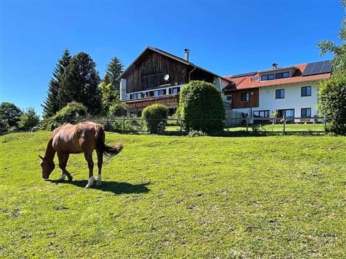 Bondegård - 6 personer -  - Attlesee - 87484 - Nesselwang