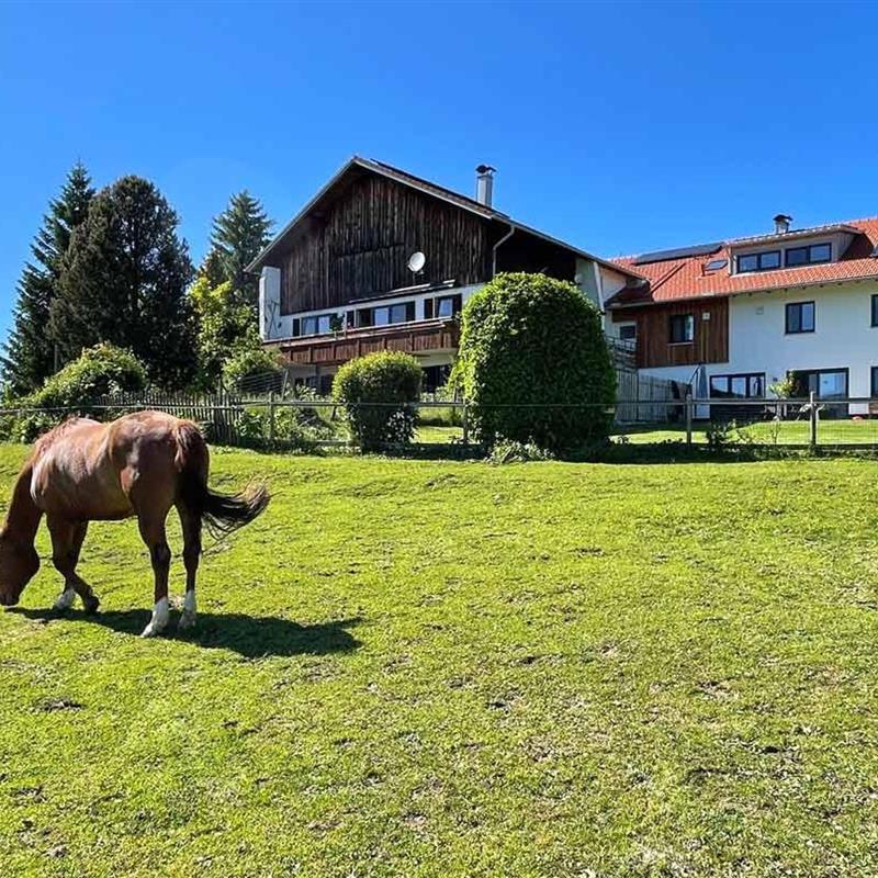 Bondegård - 6 personer -  - Attlesee - 87484 - Nesselwang