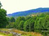 Bild 44 - Ude