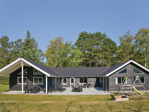 Sommerhus - 22 personer -  - Mostergårdsvej - Asserbo - 3300 - Frederiksværk