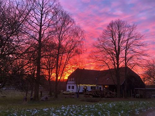 Bauernhof - 8 persons -  - Mitten in der Natur, großes Gehöft, kinderfreundlich - 18279 - Lalendorf