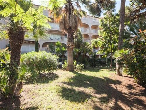 Ferienhaus - 6 Personen -  - 83400 - Hyeres