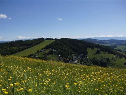 Fritidshus - 4 personer -  - 9554 - St.Urban