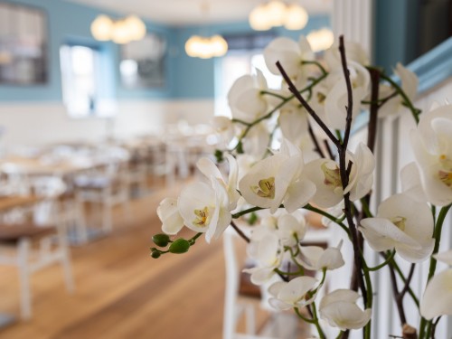 Plesners Badehotel - 