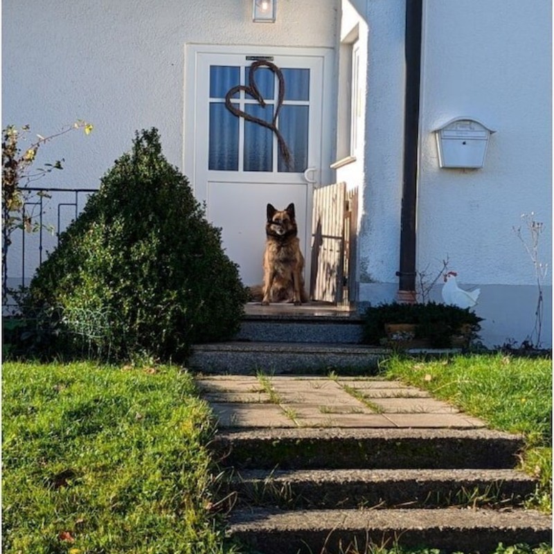 Sommerhus - 2 personer -  - 88633 - Heiligenberg