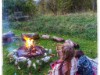 Bild 15