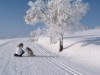 Bild 21