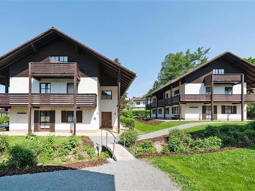 Ferieleilighet - 5 personer -  - 94556 - Neuschönau