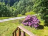 Bild 19 - Ude