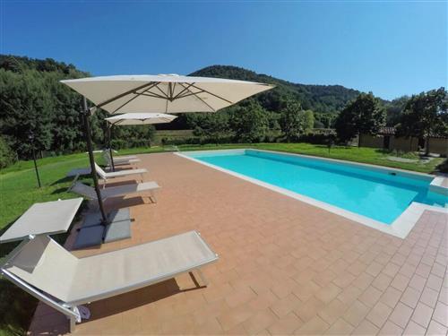 Sommerhus - 27 personer -  - Camaiore - 55041