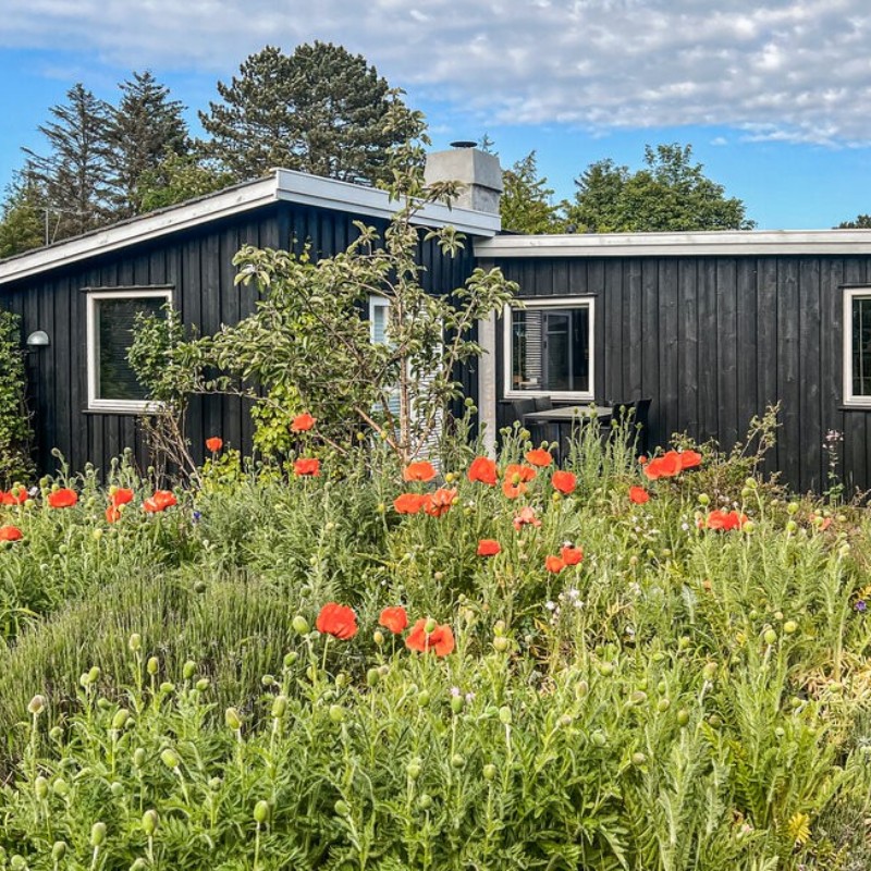 Ferienhaus - 6 Personen -  - Følfodsvej - Ordrup - 4540 - Faarevejle
