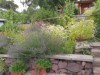 Bilde 14