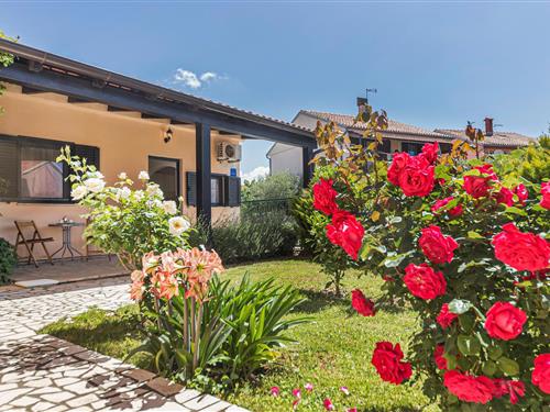 Fritidshus - 2 personer -  - Vocarska - Fazana-Valbandon - 52212 - Valbandon