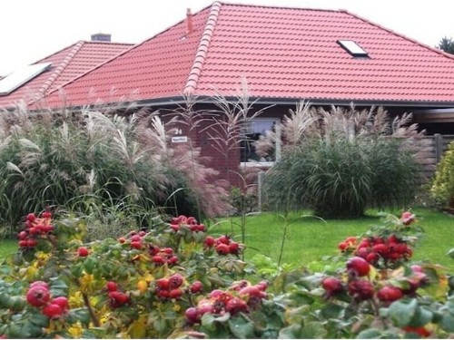 Ferienhaus - 4 Personen -  - 27632 - Finja