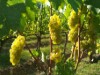 Bild 24