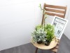 Bild 19 - Inde