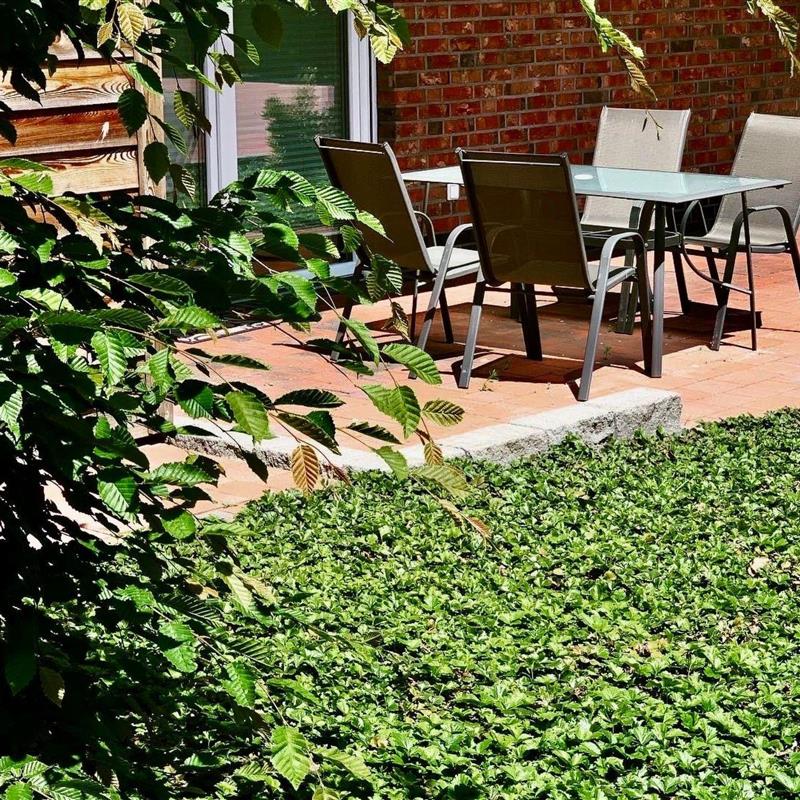 Ferielejlighed - 4 personer -  - Friesoythe - 26169