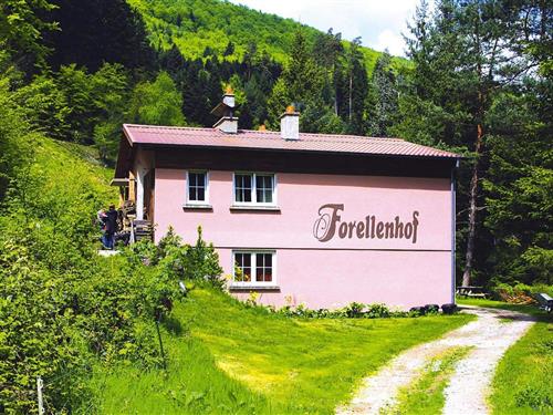 Ferielejlighed - 7 personer -  - 57850 - Dabo