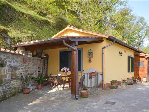 Feriehus / leilighet - 5 personer -  - Loc. Poggioni - 52044 - Cortona