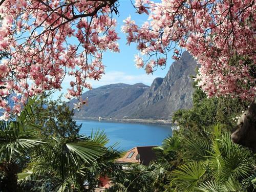 Holiday apartment - 3 persons -  - via Violetta - 6976 - Lugano-Castagnola