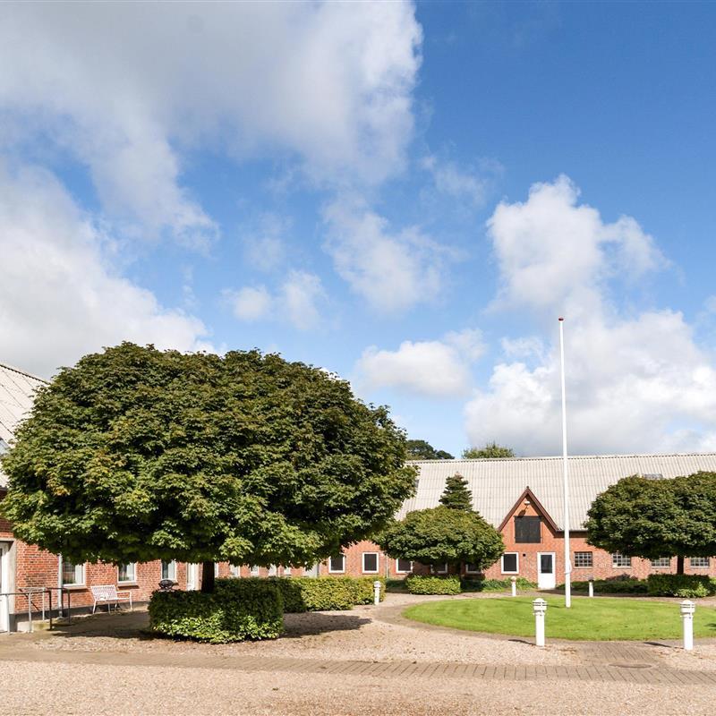 Ferienhaus - 44 Personen -  - Favrskovvej - 6650 - Brörup