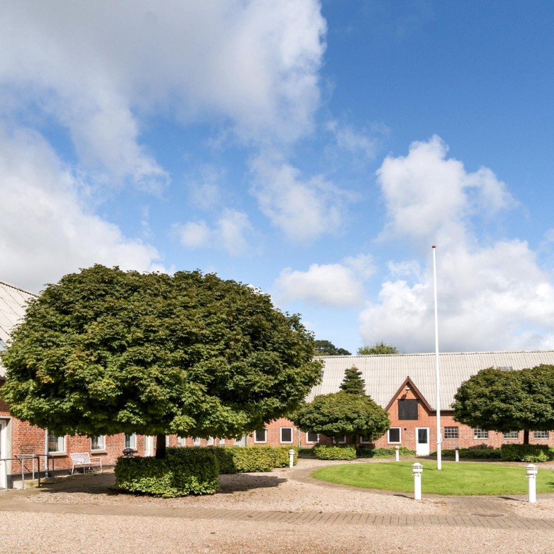 Sommerhus - 44 personer -  - Favrskovvej - 6650 - Brørup