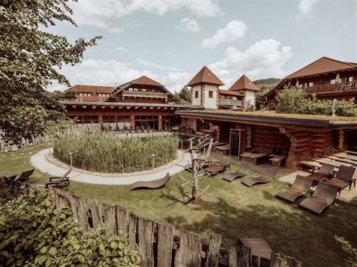 Ferielejlighed - 4 personer -  - Tretenhofstraße - 77960 - Seelbach Im Schwarzwald