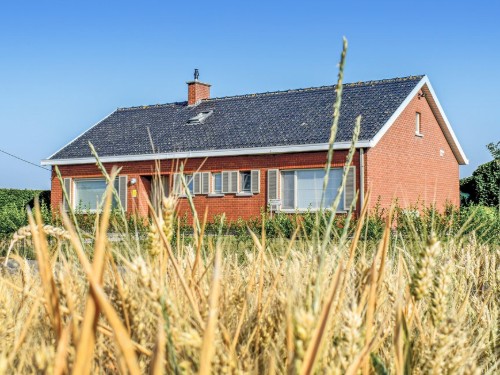 Holiday home - 8 persons -  - Kapellestraat - 8904 - Ieper