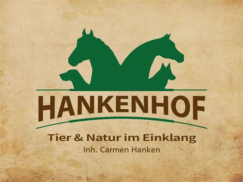 Ferielejlighed - 4 personer -  - Burgweg - 26849 - Filsum