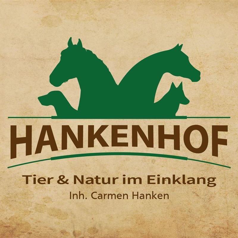 Ferielejlighed - 4 personer -  - Burgweg - 26849 - Filsum