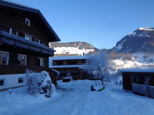 Ferielejlighed - 3 personer -  - Wieden - 6883 - Au