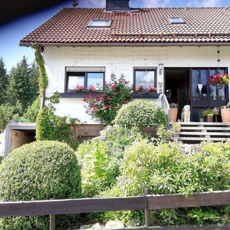 Ferielejlighed - 3 personer -  - Anemonenweg - 38700 - Braunlage