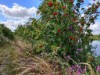 Bild 17