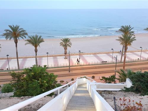 Ferielejlighed - 4 personer -  - C/San Sebastian 1 por. 2 pl - 03560 - El Campello