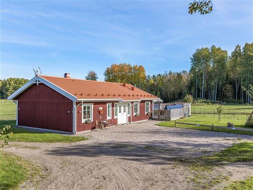 Ferienhaus - 6 Personen -  - Kolmården - 61893