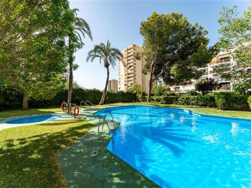 Ferieleilighet - 2 personer -  - 04720 - Aguadulce