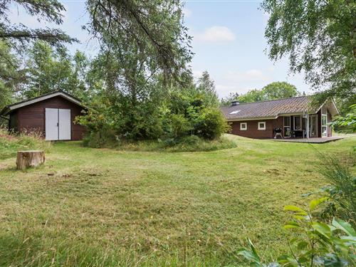 Ferienhaus - 6 Personen -  - Risbjergvej - Søndervig / Lodbjerg Hede - 6950 - Ringköbing