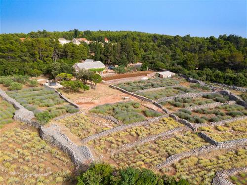 Feriehus - 8 personer -  - Humac 1, Humac - 21465 - Jelsa