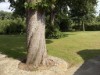 Bild 22