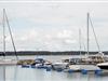 Bilde 37 - Ude
