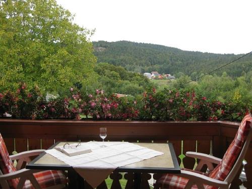 Holiday apartment - 2 persons -  - Schmiedebachstraße - 79875 - Dachsberg (Südschwarzwald