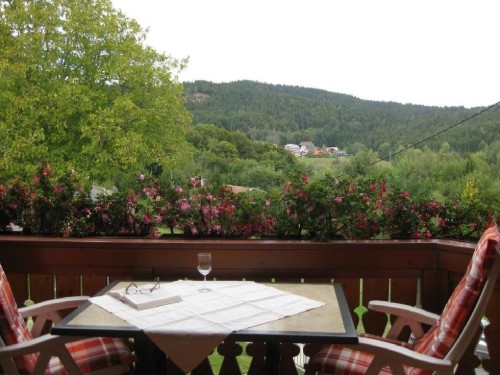 Ferielejlighed - 2 personer -  - Schmiedebachstraße - 79875 - Dachsberg (Südschwarzwald