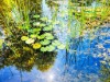 Bild 73 - Ude
