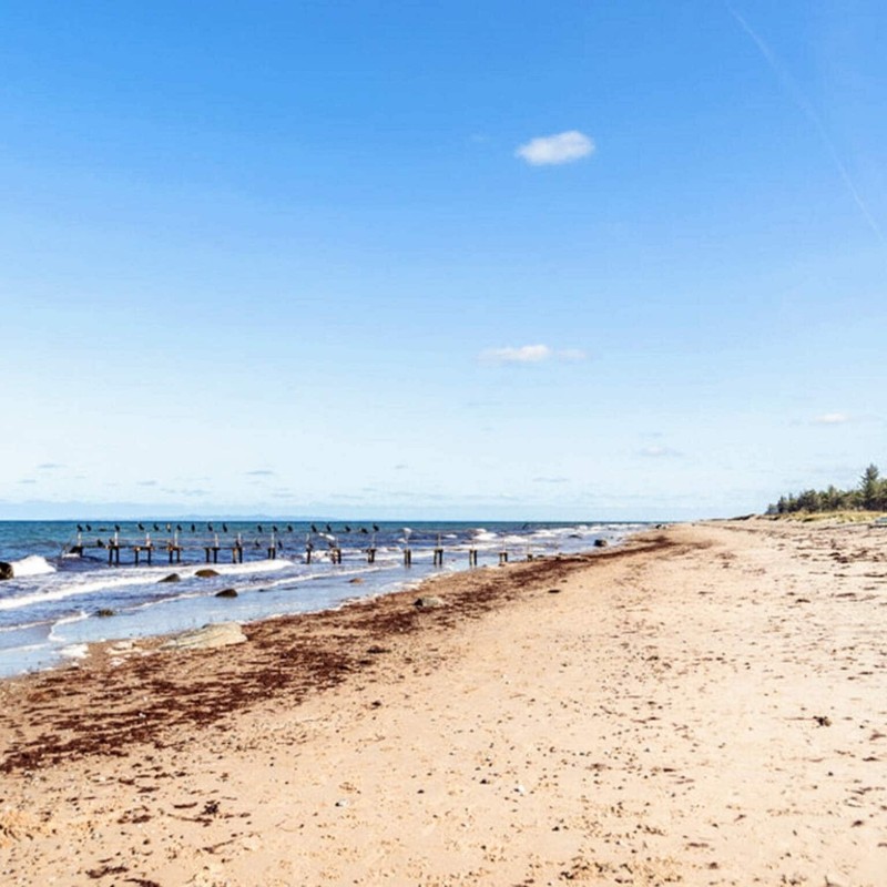 Ferienhaus - 6 Personen -  - Røglevangen - Gilleleje - 3230 - Grästed